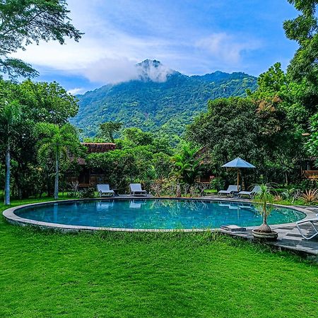 Alaya Ecolodge Pemuteran Extérieur photo