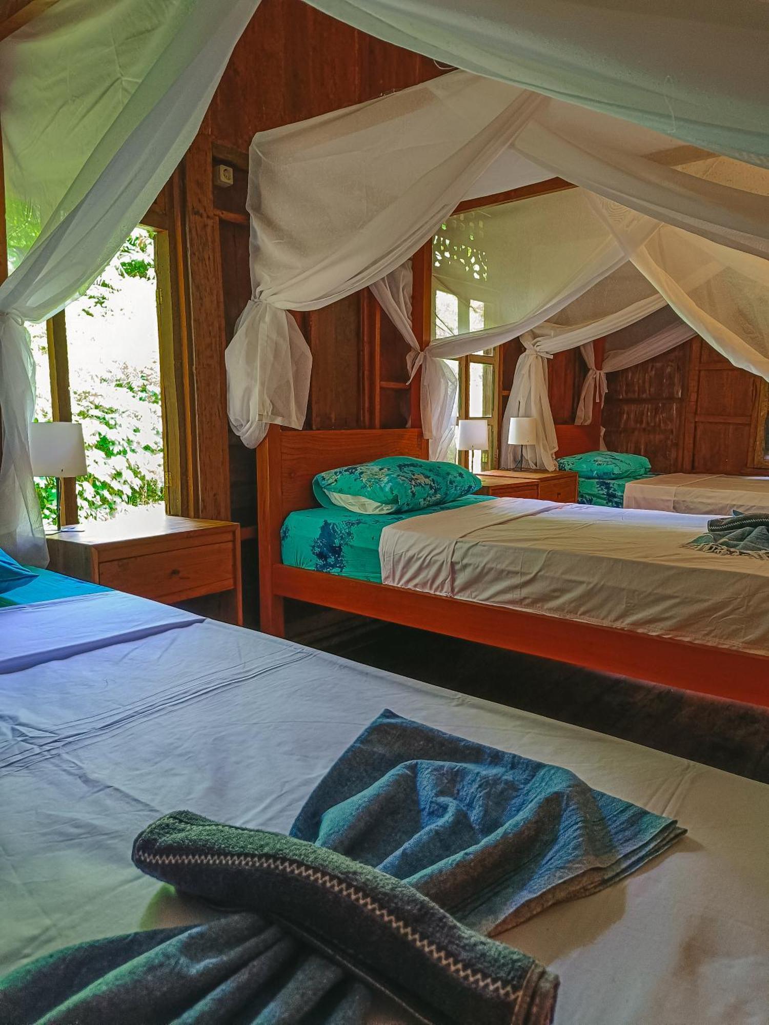 Alaya Ecolodge Pemuteran Extérieur photo