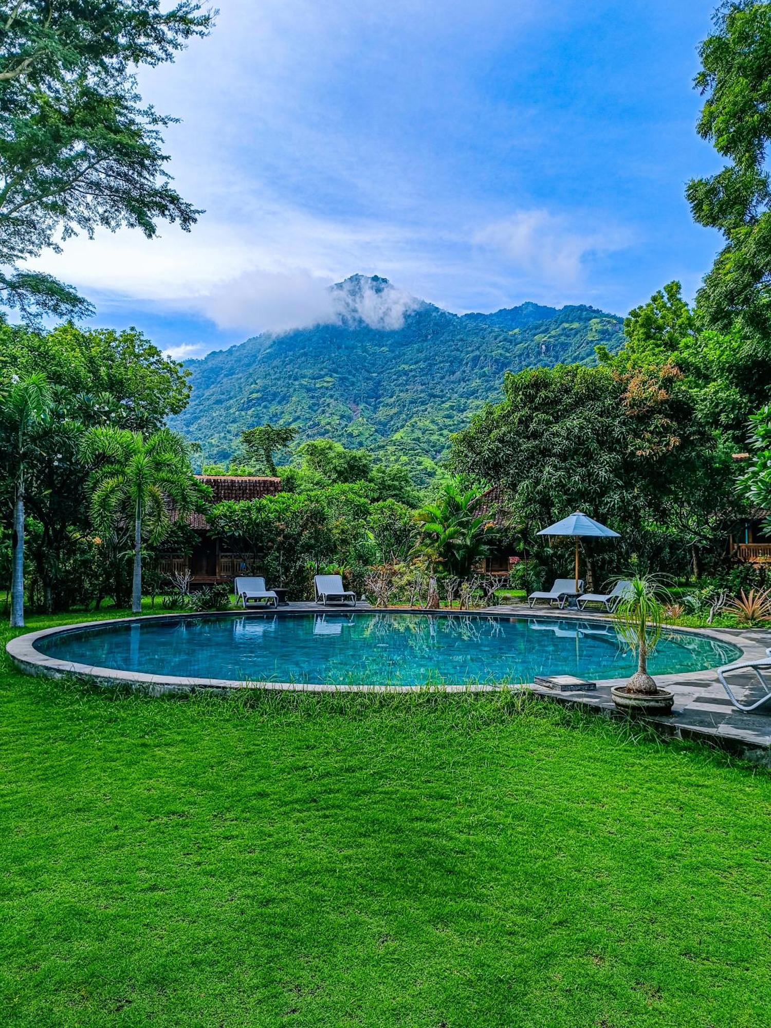 Alaya Ecolodge Pemuteran Extérieur photo