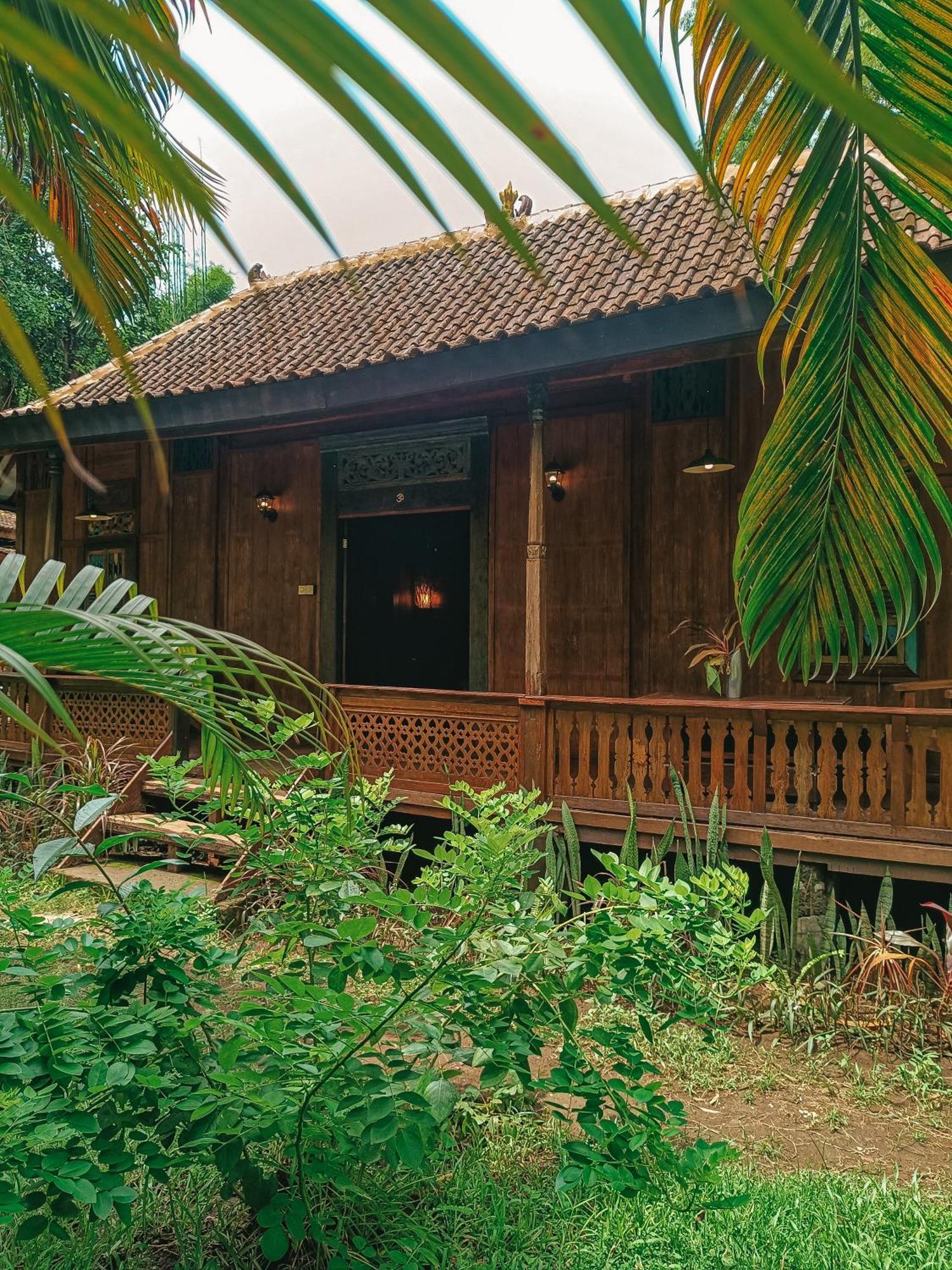 Alaya Ecolodge Pemuteran Extérieur photo